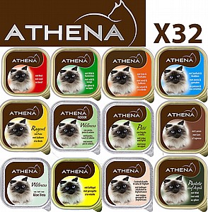 ����!!! 32 ����� ����/ATHENA