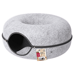 ���� ������� �����