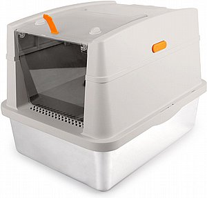 ���� ����� �������� ����� 