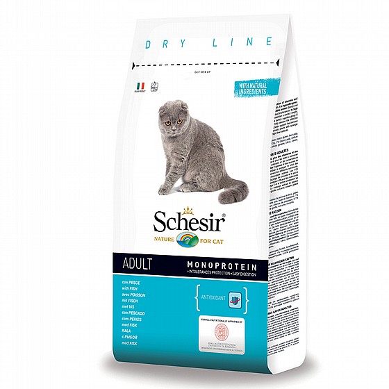 Schesir / ���� - ���� ��� ����� �� ���� ��