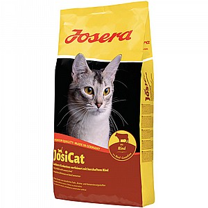 �'�����/JosiCat ���