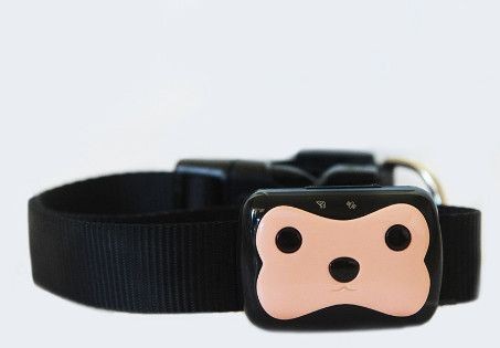dogps - ��.��.�� ���� �� �������� ������ ����� ������