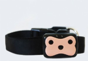 dogps - ��'.��.�� ���� �� �������� ������ ����� ������