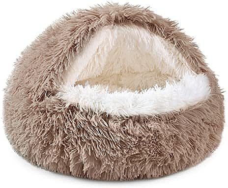 ����� ������ PetsProjects L 