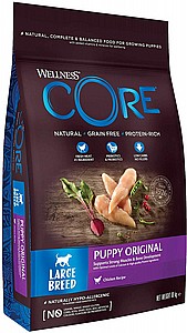 Wellness CORE - ����� ��� ���� ����� ����� ���� ����