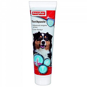 ���� ������ - �����