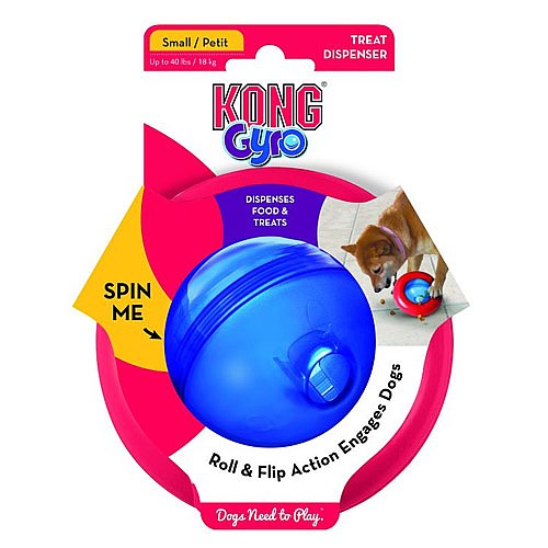 ���� �����/KONG GYRO ���