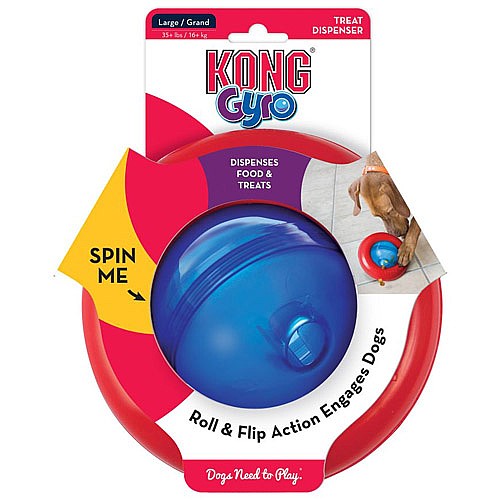 ���� �����/KONG Gyro ����