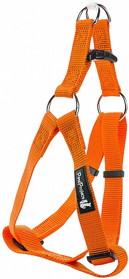 ���� �� PetsProject L ���� ����