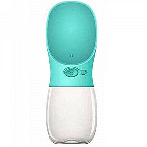 ����� ���� ������