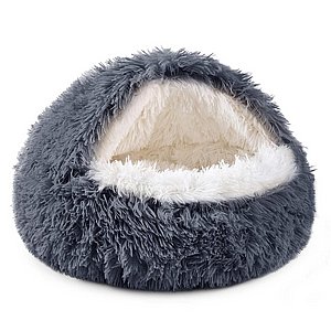 ����� ������ PetsProjects M