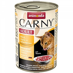 ������ ���� �������� ������� ������