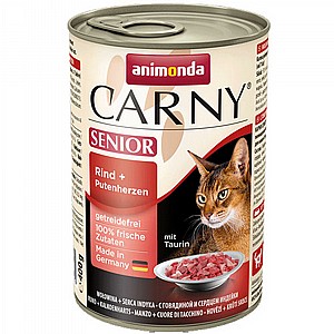 ������ ���� �������� ������� �������