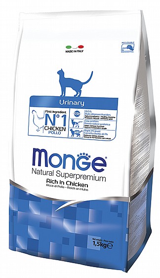 ���� ������ ���� ������� - ���