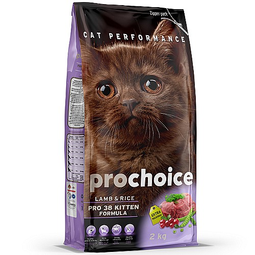 �������/prochoice ��� ����� ����� ������