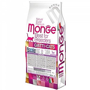 ����' ������ ���� ���������- ��� ����� �����