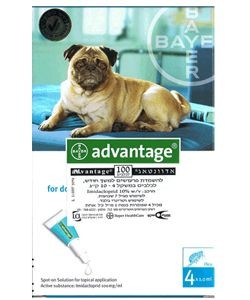 ������� 100