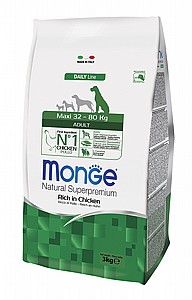 ���� ���� ����� ���