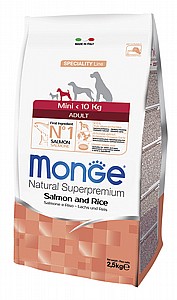 ���� ���� ����� ����� ����� - ����� �����