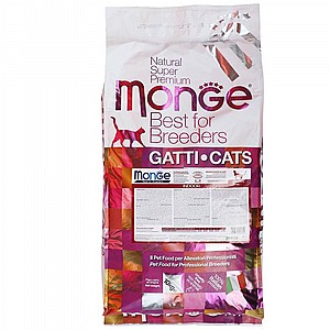 ����' ������ ���� ������ - ���