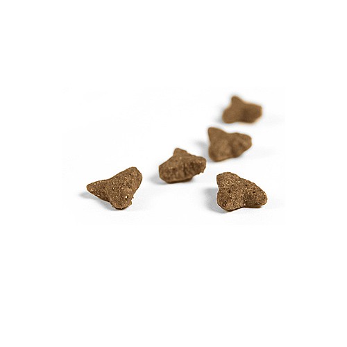 ����� ������ ������� ������ - ����� �����