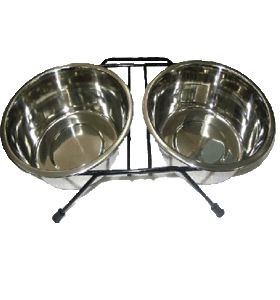 ���� ����� ���� ��������