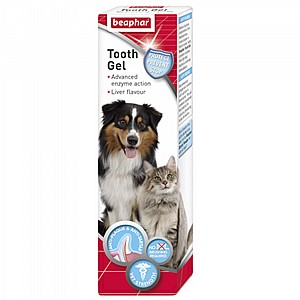 ����� �'� ������ ������