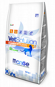 ���� �� �������� ������ �������