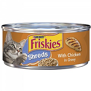 ���� ������� ���� ��� �����