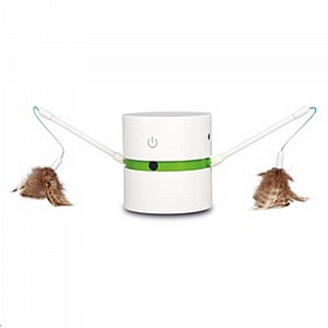 ����� ����������� �����