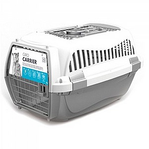 ���� ����� ��� ����� ����