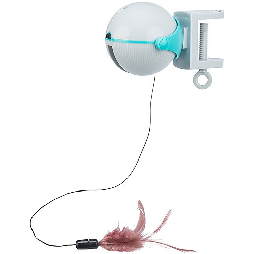 ���� ��/���� ������� �����