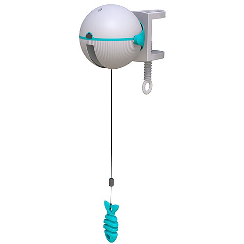 ���� ��/���� ������� �����