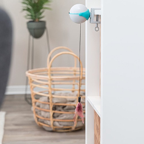 ���� ��/���� ������� �����