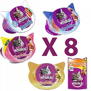 ����� 8 ����� ����� ����� �����