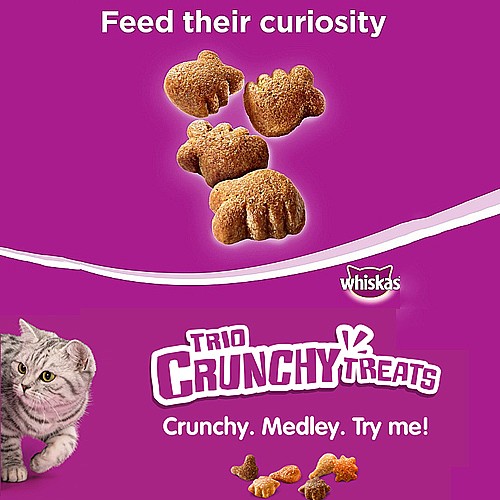 ����� 8 ����� ����� ����� �����