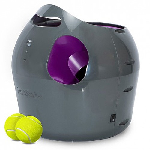 ���� ������ ������� 