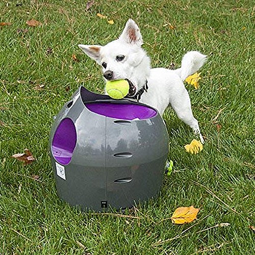 ���� ������ ������� 