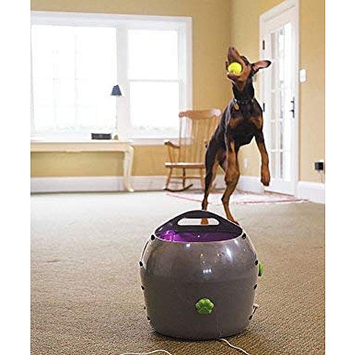 ���� ������ ������� 