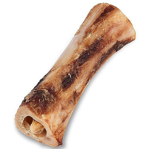 ��� ��� ����� ����� �� �� ���