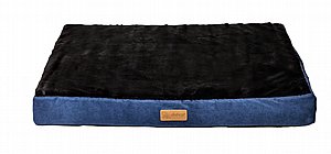 ����� �������� 