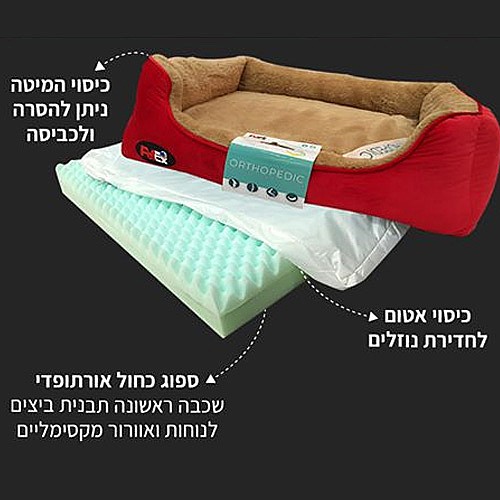 ���� ��������� L ����