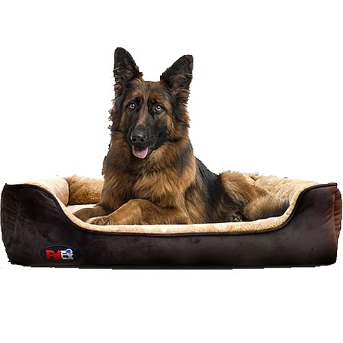 ���� ��������� XL ����