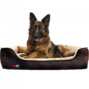 ���� ��������� XL ����