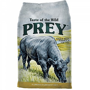 ����� ��� �� ����� ��� ����� - ��� ����� ����� �����