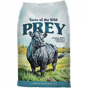 ����� ��� �� ����� ��� ���� - ��� �����