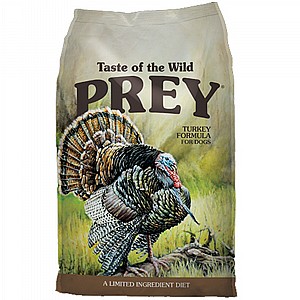 ����� ��� �� ����� ��� ���� - ����