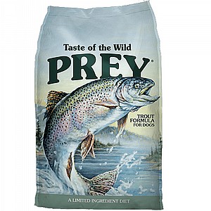 ����� ��� �� ����� ��� ���� - ����