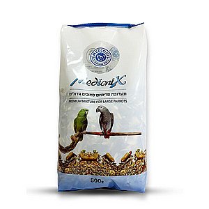 ���� ���� ����