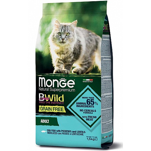 ���� ���� Bwild ��� ����� - �� ���� ����"�